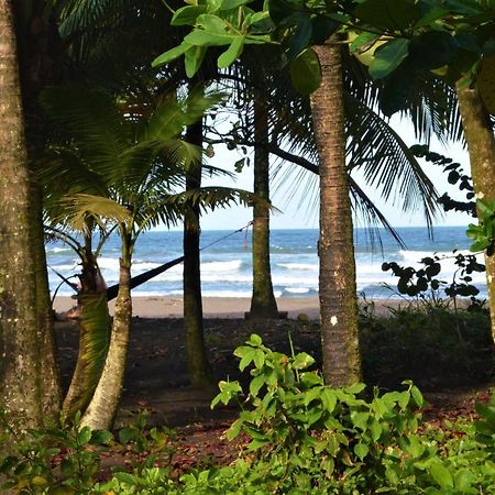 Hotel Pura Natura Tortuguero Exterior foto