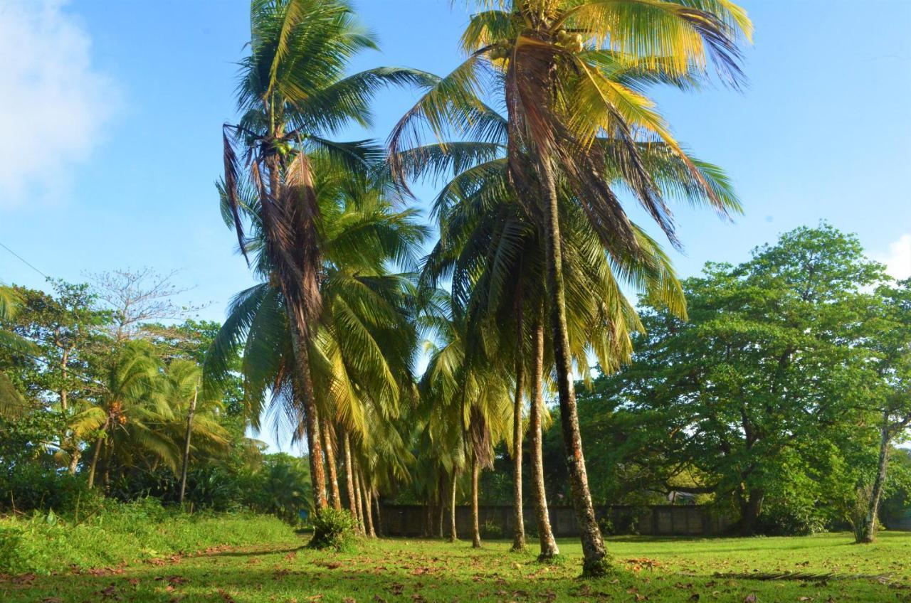 Hotel Pura Natura Tortuguero Exterior foto