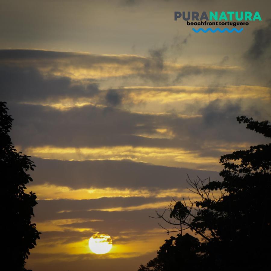 Hotel Pura Natura Tortuguero Exterior foto