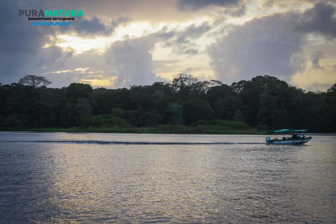 Hotel Pura Natura Tortuguero Exterior foto