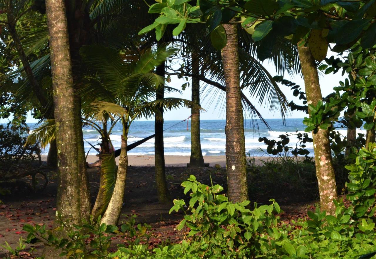 Hotel Pura Natura Tortuguero Exterior foto