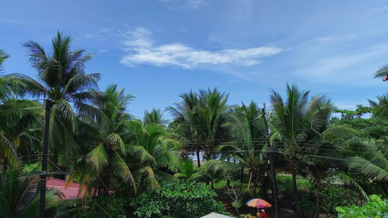 Hotel Pura Natura Tortuguero Exterior foto