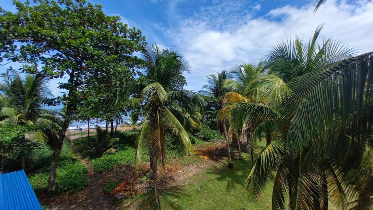 Hotel Pura Natura Tortuguero Exterior foto