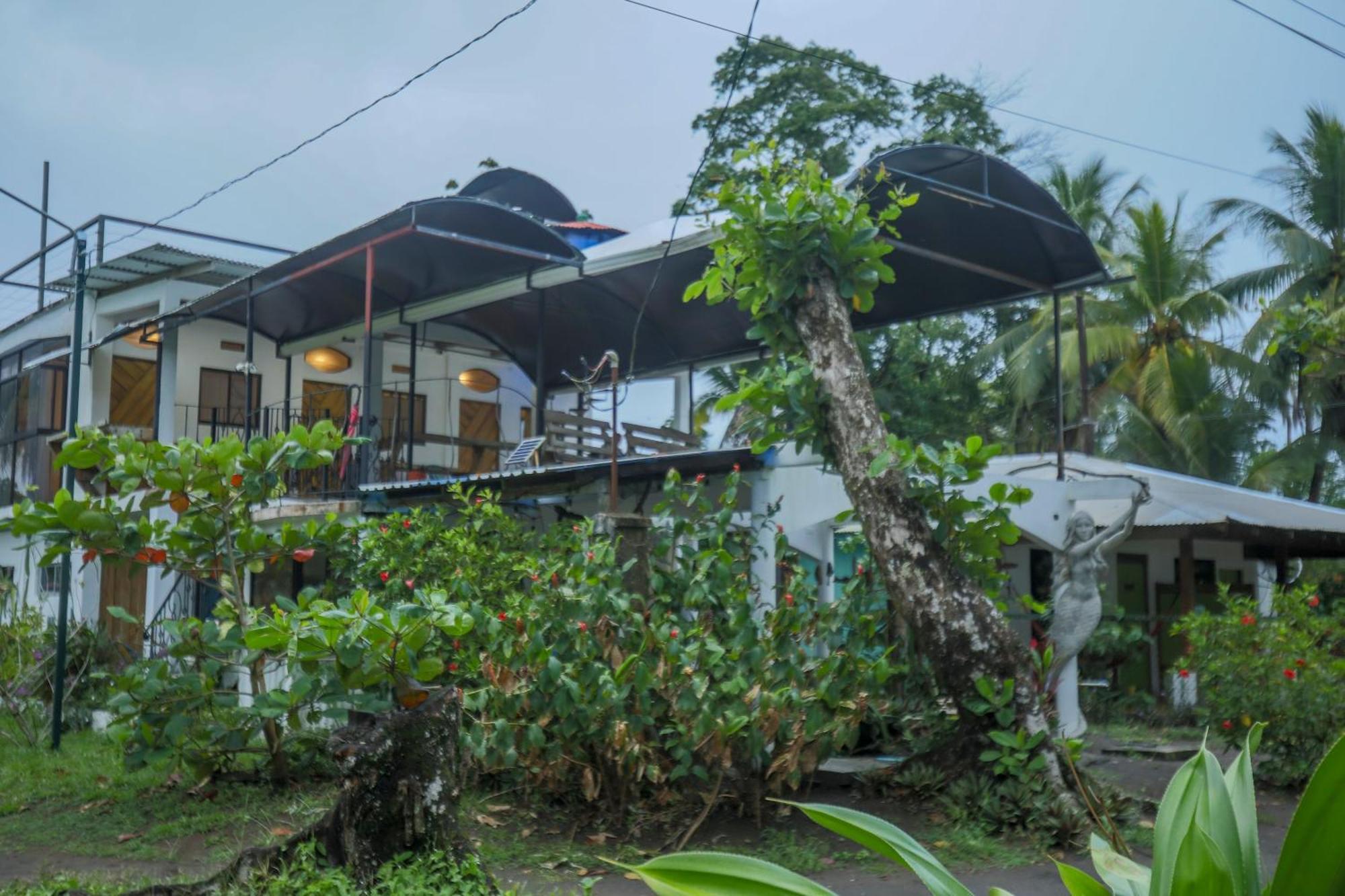 Hotel Pura Natura Tortuguero Exterior foto