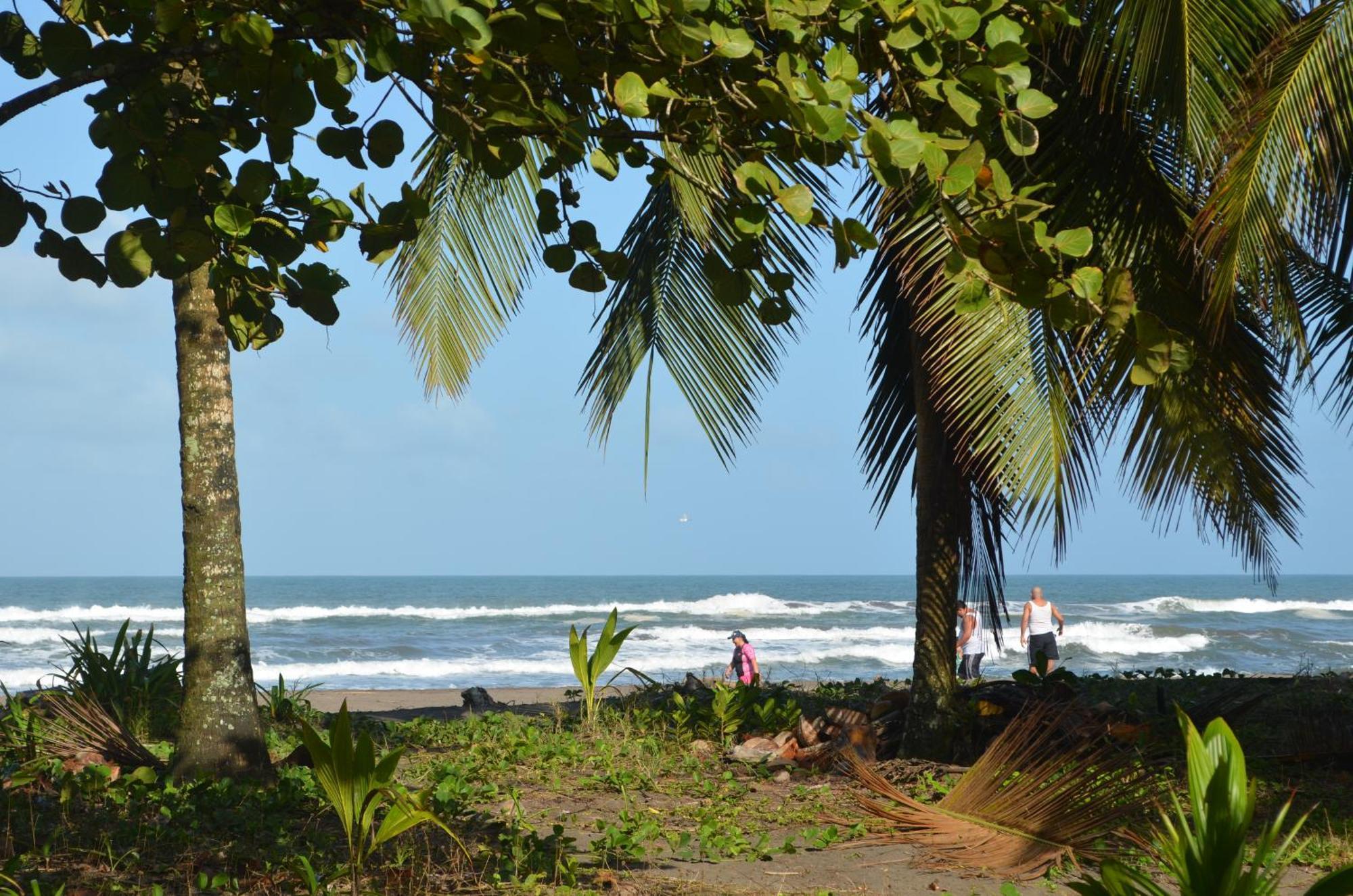 Hotel Pura Natura Tortuguero Exterior foto